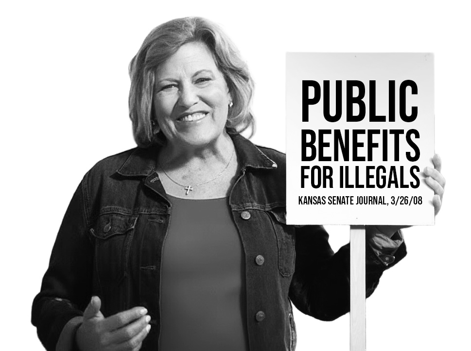 Stop Vicki Schmidt - Illegals First. Kansans Last. Image